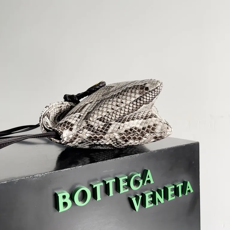 Bottega Veneta Bag 